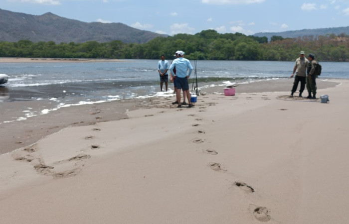 Sector Playa Naranjo, Parque Nacional Santa Rosa  Foto: Programa de Prevención, Protección y Control