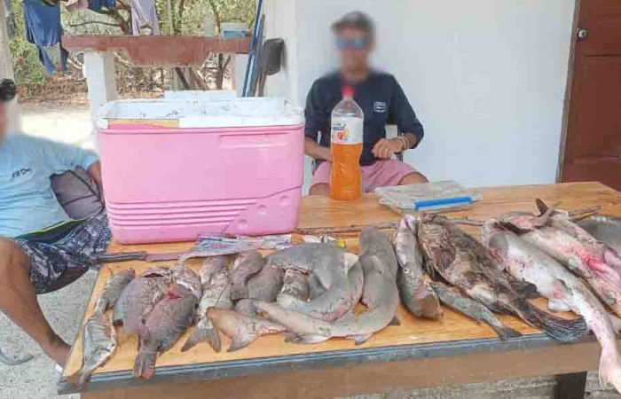 Sector Playa Naranjo, Parque Nacional Santa Rosa  Foto: Programa de Prevención, Protección y Control