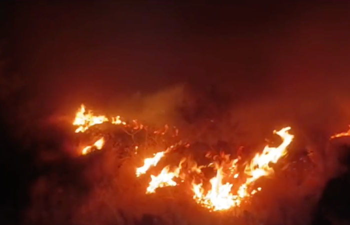 Cerro Inglés, Parque Nacional Santa Rosa 10 de mayo 2024 Foto: Josué Sandoval