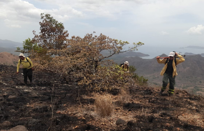 Cerro Inglés, Parque Nacional Santa Rosa 10 de mayo 2024 Foto: Josué Sandoval