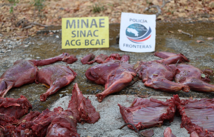 Sector Pocosol, Parque Nacional Guanacaste  1 de abril 2025  Foto: Brigada de Control y Aprovechamiento Forestal (BCAF.PSA)