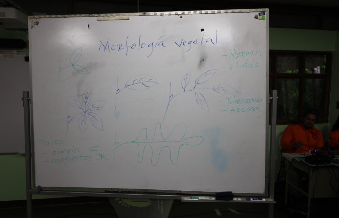 Nelson Zamora,  Instituto Tecnológico de Costa Rica.  Fuente: Melissa Espinoza, 2025.