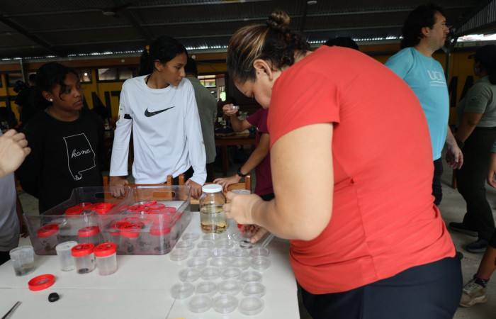 Comunidad de Cuajiniquil, La Cruz.  Fuente: Melissa Espinoza, 2025.