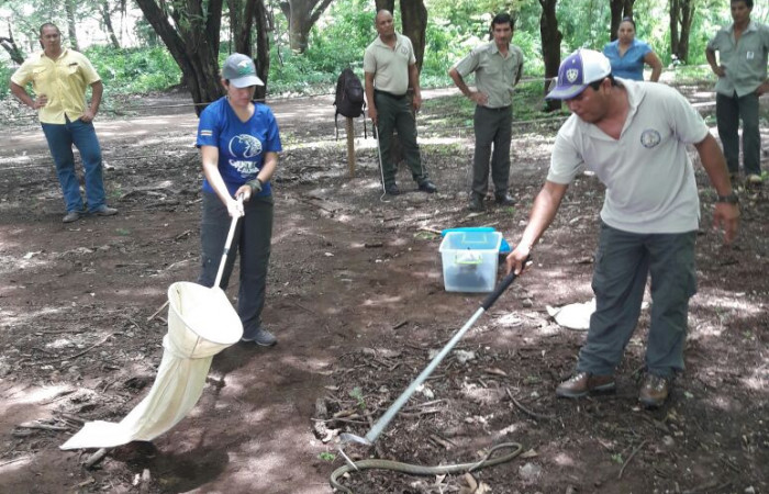Taller sobre Rescate de Fauna silvestre