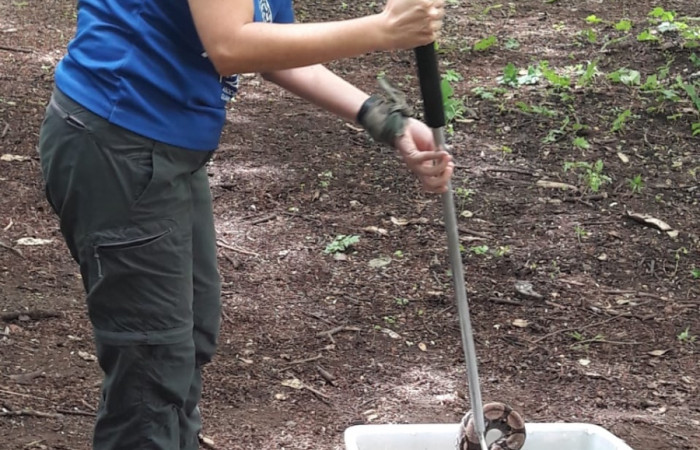 Taller sobre Rescate de Fauna silvestre