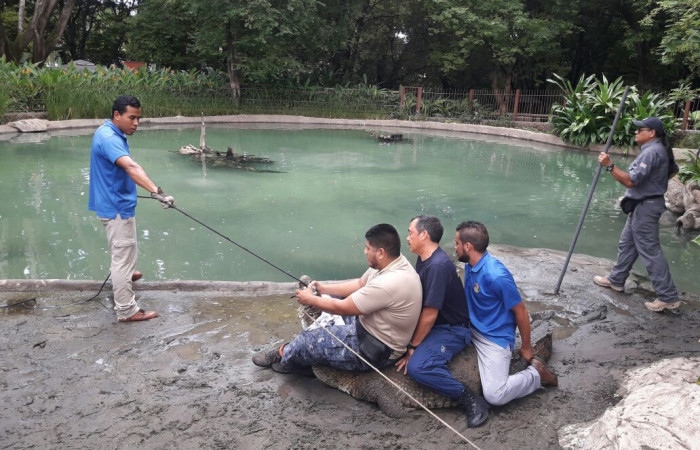Taller sobre Rescate de Fauna silvestre