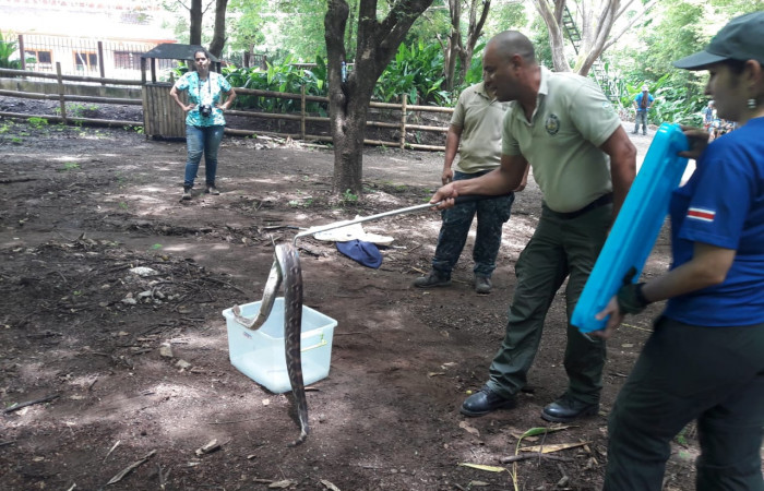 Taller sobre Rescate de Fauna silvestre