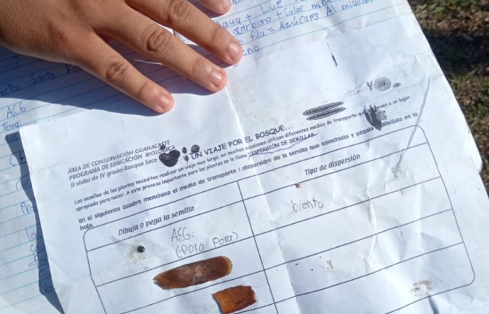 Sector El Hacha, ACG.  Fuente: Albán Jiménez Céspedes, 2025.