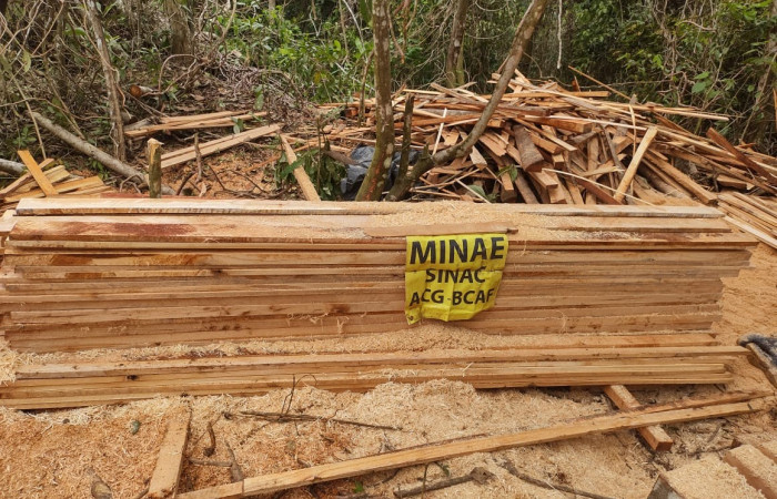 1 de agosto 2025, foto: Brigada de Control y Aprovechamiento Forestal (BCAF.PSA)