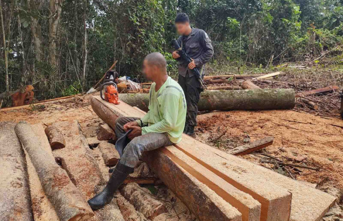 1 de agosto 2025, foto: Brigada de Control y Aprovechamiento Forestal (BCAF.PSA)