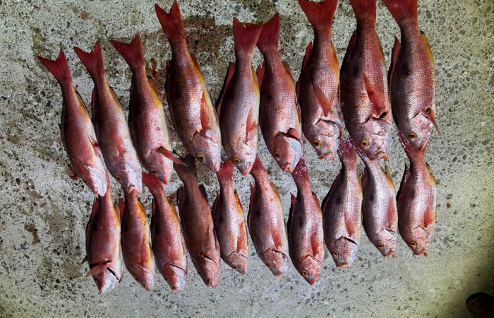 Sector Marino ACG 13 Agosto 2025 Foto: Braulio Bermudez