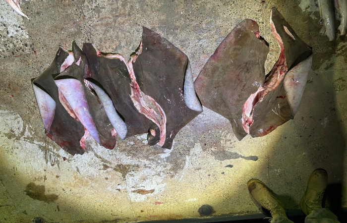 Sector Marino ACG 13 Agosto 2025 Foto: Braulio Bermudez