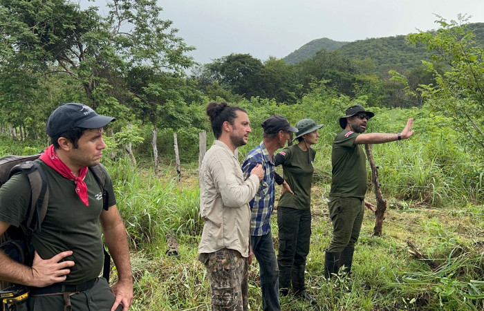 Mitigación de conflicto de felinos con humanos Foto: Jossie Hernández