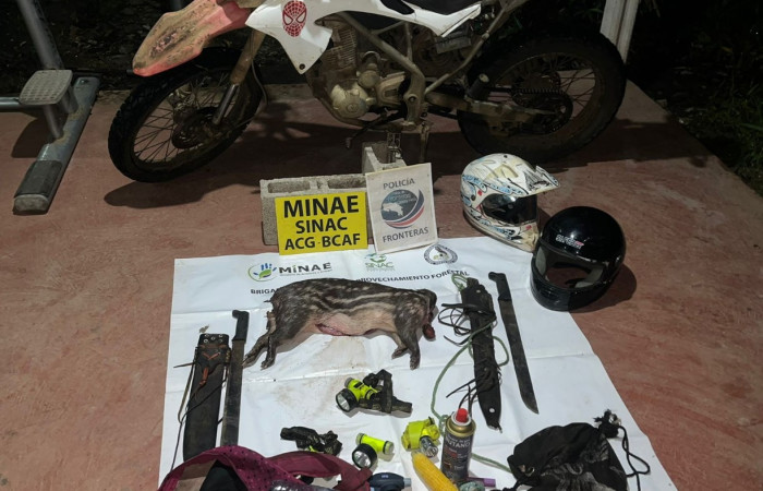 Cacería de tepezcuintle <i>Cuniculus paca</i>, setiembre 2025, sector San Cristóbal, foto: Brigada de Control y Aprovechamiento Forestal (BCAF.PSA)