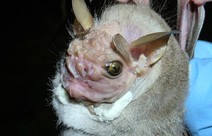Río Cuajiniquil, La Cruz. Fuente: archivos AICOM Santa Rosa, 2025.