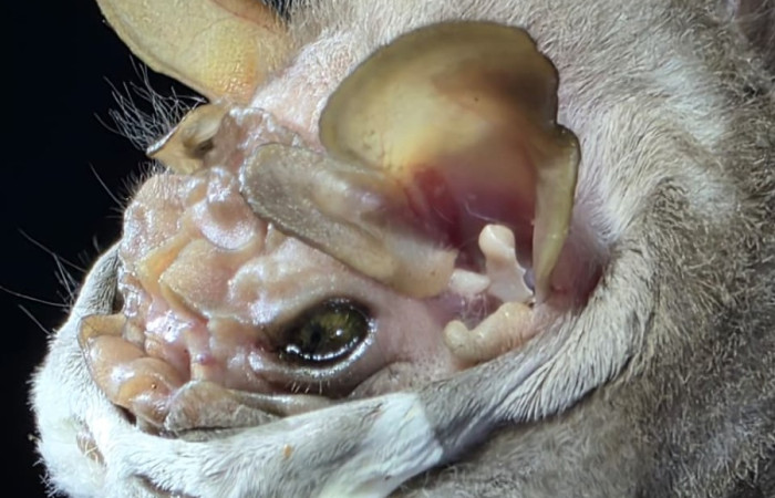 Río Cuajiniquil, La Cruz. Fuente: archivos AICOM Santa Rosa, 2025.