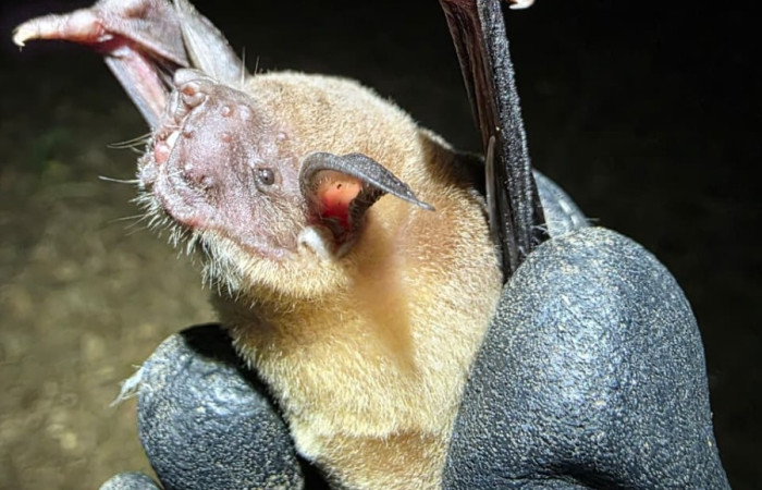 Río Cuajiniquil, La Cruz. Fuente: archivos AICOM Santa Rosa, 2025.