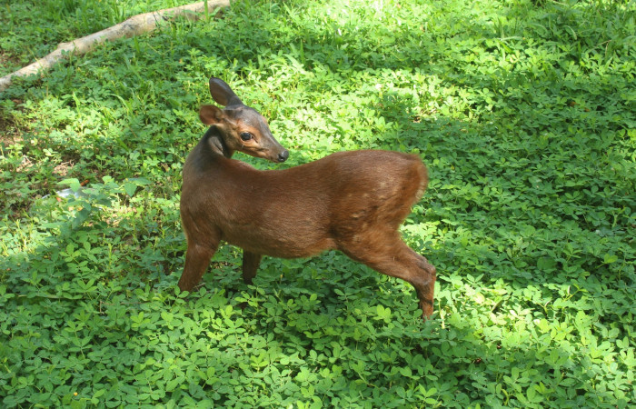 21 de junio, Fotografía: Melissa Espinoza