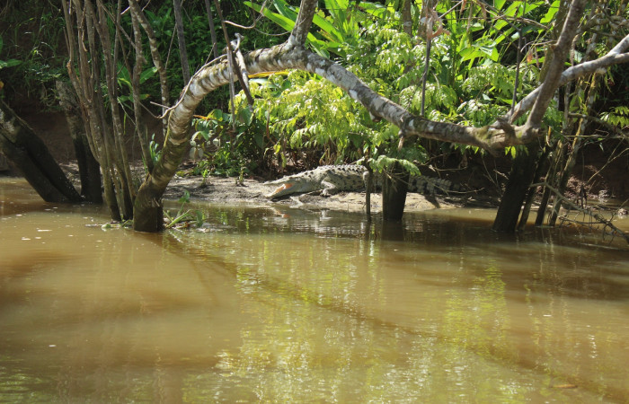 22 de junio, Sierpe, Fotografía: Melissa Espinoza