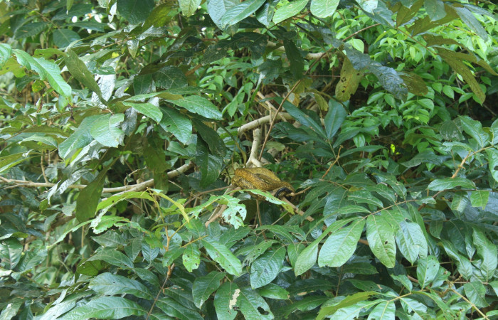 22 de junio, Sierpe, Fotografía: Melissa Espinoza