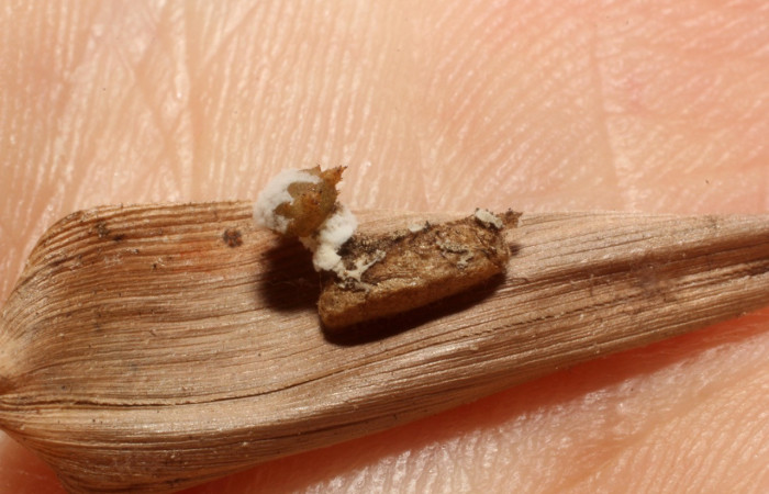 Artículos_ Editar - Área de Conservación Guanacaste - Administración