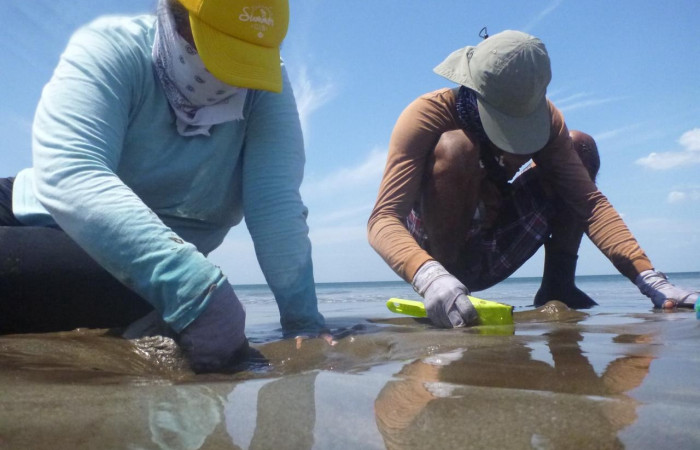 Playa Naranjo, Parque Nacional Santa Rosa  2016  Foto:Proyecto BioMar-ACG  Playa Naranjo, Parque Nacional Santa Rosa  2024  Foto: Jeffrey Sibaja