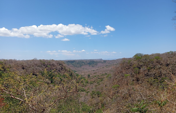 Quebrada Costa Rica en época seca, abril 29, 2026. Fotografía Johan Martinez