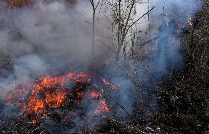 15 de abril 2018, Foto: Programa Manejo del Fuego