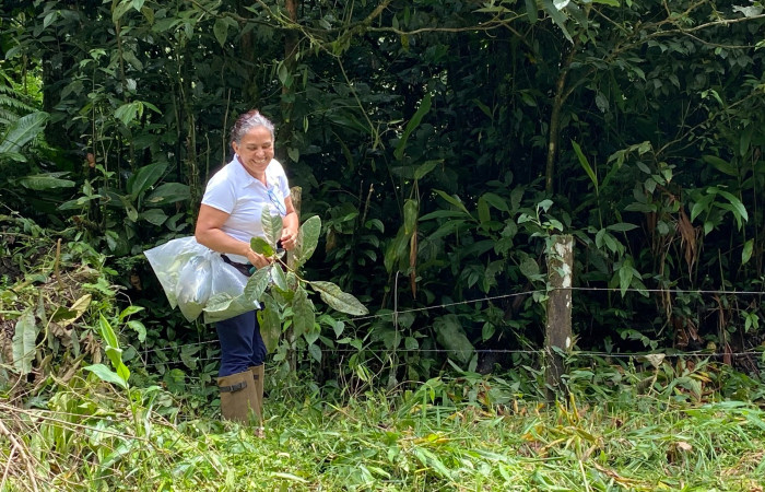 Foto: Alejandro Masís