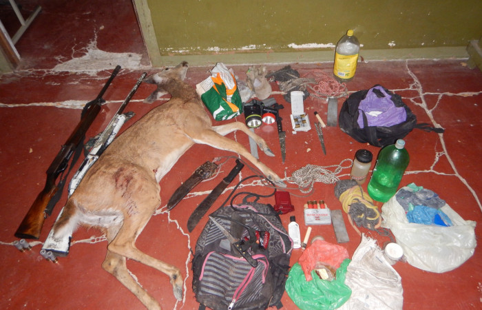 10 de abril 2019  Foto: Brigada de Control y seguimiento Aprovechamiento forestal de la Dirección de Recursos Forestales y Vida Silvestre