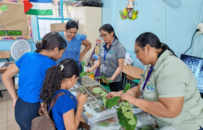 Feria STEAM Escuela Corazón de Jesús