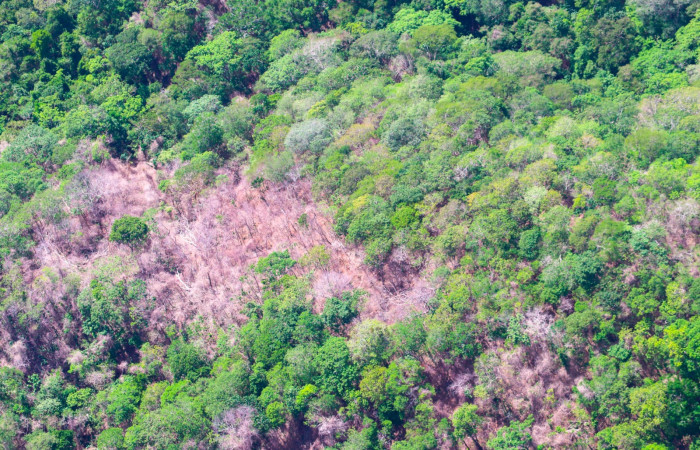 Sector Murciélago, Parque Nacional Santa Rosa Foto: Alejandro Masís