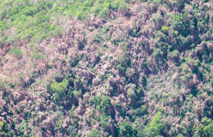 Sector Murciélago, Parque Nacional Santa Rosa Foto: Alejandro Masís