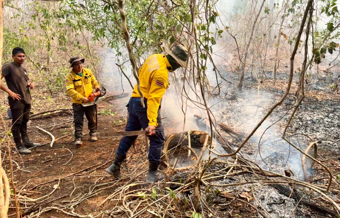 Sector Murciélago Parque Nacional Santa Rosa Abril 2026 Foto: Selena Avendaño