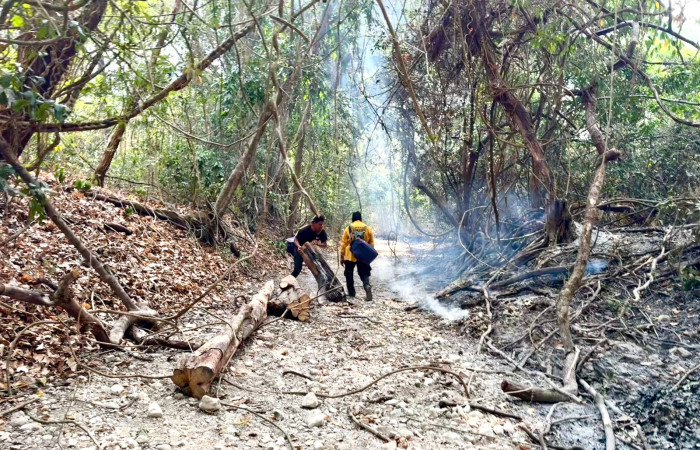 Sector Murciélago Parque Nacional Santa Rosa Abril 2026 Foto: Selena Avendaño