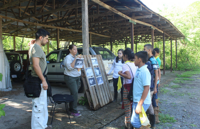 Rally evaluativo