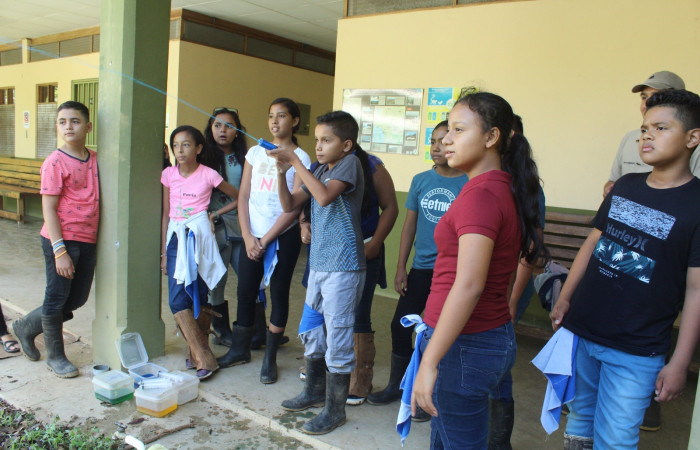 Rally evaluativo