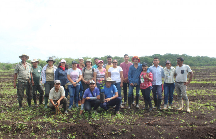 Estación Experimental Forestal Horizontes, 15 de junio 2018, Fotografía: Melissa Espinoza