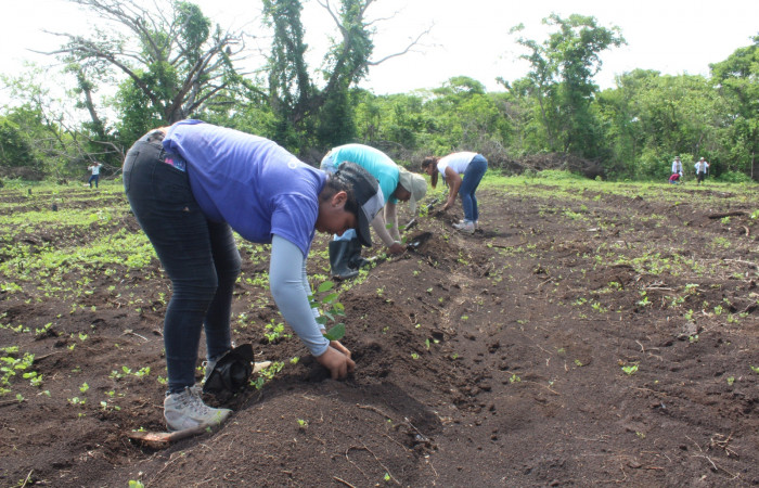 Estación Experimental Forestal Horizontes, 15 de junio 2018, Fotografía: Melissa Espinoza