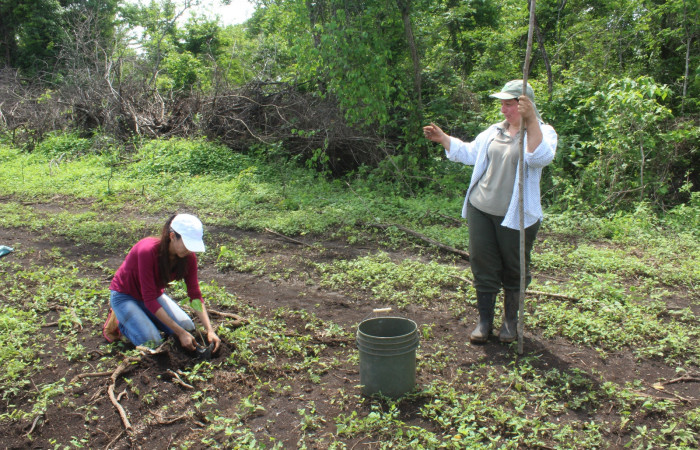 Estación Experimental Forestal Horizontes, 15 de junio 2018, Fotografía: Melissa Espinoza