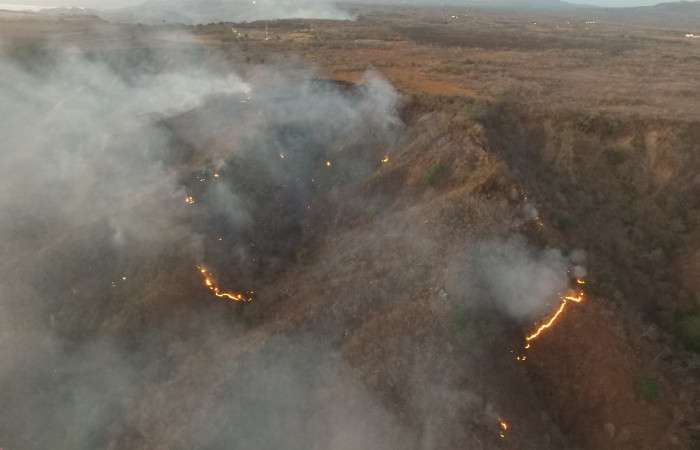 Atención de Incendio Forestal en Sector Santa Elena. 7 de Abril, 2019. Foto: Sergio Cascante.