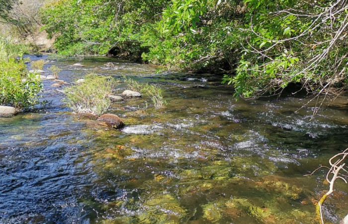 Rio Tempisquito