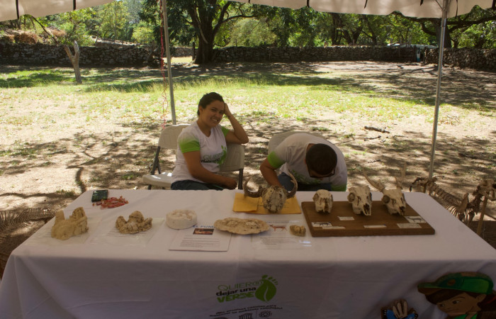 Aniversario Quiero Dejar una Huella verde año 2018
