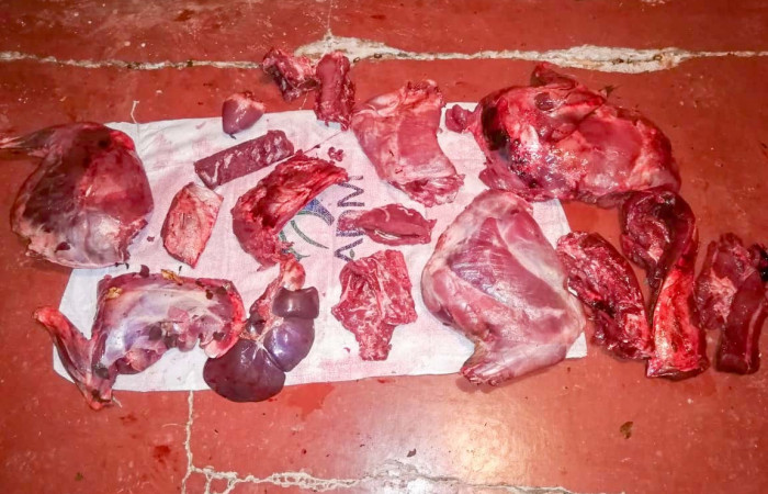 22 de mayo 2019 Sector Pocosol, Parque Nacional Guanacaste Foto: Brigada se Control de Aprovechamiento Forestal y Seguimiento al Programa de Pago por Servicios Ambientales (BCAF-PSA) ACG