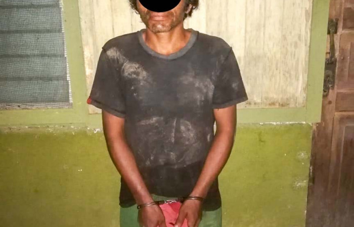 22 de mayo 2019 Pelón de la bajura Foto: Brigada se Control de Aprovechamiento Forestal y Seguimiento al Programa de Pago por Servicios Ambientales (BCAF-PSA) ACG