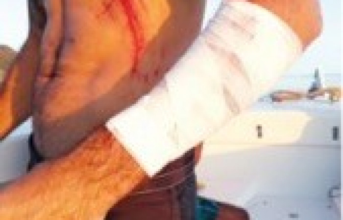 Fotos: Howler magazine  Edición Mayo 2019, Vol. 24  No. 5