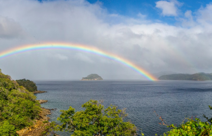 Pan_Junquillal_arcoiris