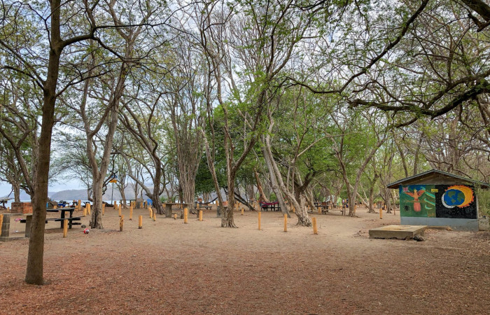 sector-junquilal--2