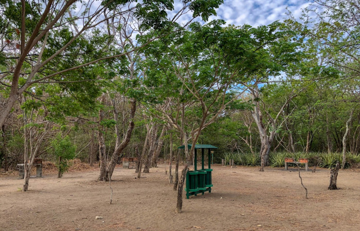 sector-junquilal--7