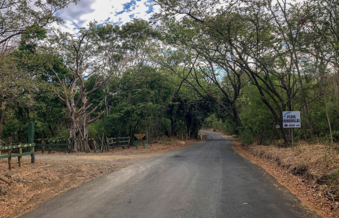 sector-junquilal-